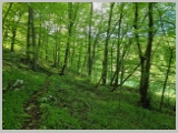 Slika_032.webp