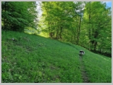 Slika_033.webp