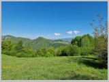 Slika_037.webp
