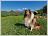 Slika_039.webp