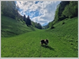 Slika_045.webp