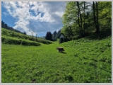 Slika_048.webp