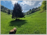 Slika_050.webp