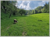 Slika_051.webp