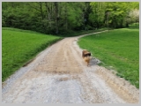 Slika_054.webp