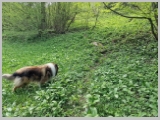 Slika_056.webp