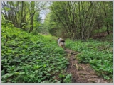 Slika_057.webp