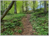 Slika_059.webp