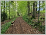 Slika_061.webp