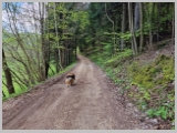 Slika_070.webp
