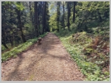 Slika_075.webp