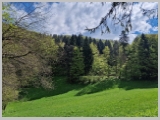 Slika_077.webp