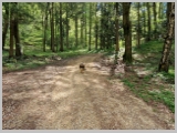 Slika_078.webp