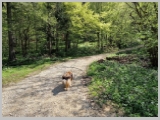 Slika_082.webp