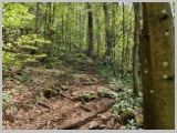 Slika_086.webp