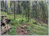 Slika_087.webp