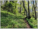 Slika_089.webp