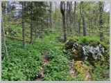 Slika_091.webp