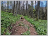Slika_096.webp