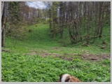 Slika_097.webp