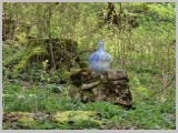 Slika_099.webp