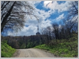 Slika_100.webp