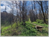 Slika_102.webp