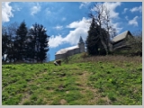 Slika_103.webp