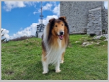 Slika_106.webp
