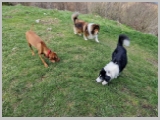 Slika_110.webp