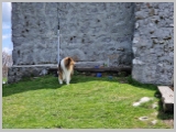 Slika_116.webp