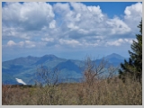 Slika_117.webp