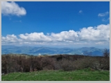 Slika_119.webp