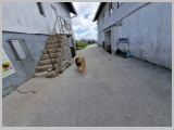 Slika_122.webp