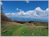 Slika_131.webp