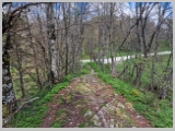 Slika_132.webp