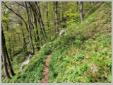 Slika_138.webp