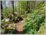 Slika_140.webp