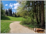 Slika_143.webp
