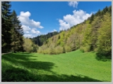 Slika_144.webp