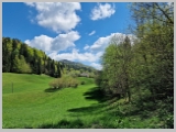 Slika_149.webp