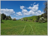 Slika_150.webp