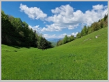 Slika_157.webp