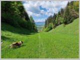 Slika_160.webp