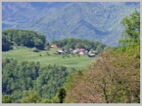 Slika_162.webp