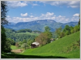 Slika_163.webp