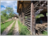 Slika_165.webp