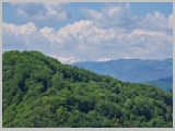 Slika_167.webp