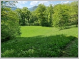 Slika_173.webp