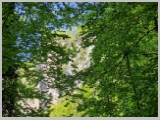 Slika_176.webp